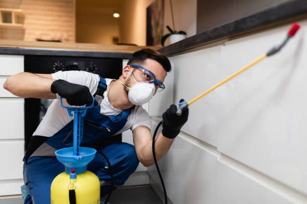 Best Pest Control for Homes  in Carson City, MI