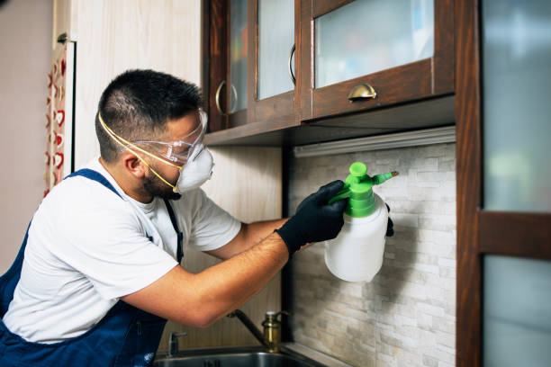 Best Pest Inspection Near Me  in Carson City, MI