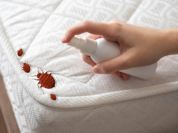 Best Best Pest Control Companies  in Carson City, MI